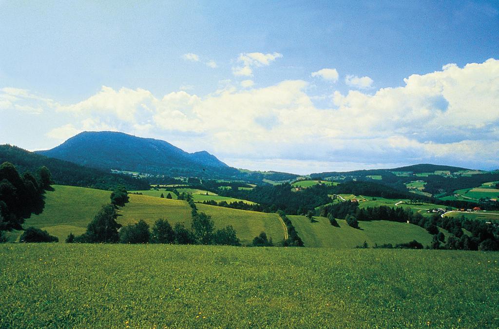 Gasthof-Hotel Jaritz Semriach Bilik gambar